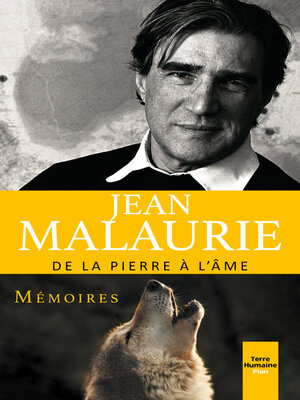 cover image of De la pierre à l'âme